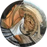 Cathedral Disc Signed and dated J Pfaff/2017 by Judy Pfaff, Print, roundel, sold Dec 2022