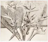Birds of Paradise and Early Abstract by Modern British Master by Norman Stevens, Etching, offered Dec 2022