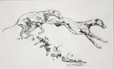 Leaping Hounds by Thomas Ivester Lloyd, ink on paper, offered Dec 2022
