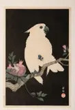 Showa era by Ohara Koson, print, sold Nov 2022