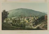 ALBUM OF VIRGINIA PRINT by Edward Beyer, lithograph, sold Jun 2025