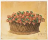 SHENANDOAH VALLEY OF VIRGINIA STILL-LIFE OF STRAWBERRIES by Sarah Nice May, watercolor on paper, sold Jun 2025