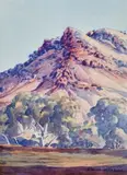 Gums at MacDonnell Ranges by Albert Namatjira, watercolour on paper, sold Mar 2026