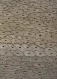 Molecular Basis by Ross Bleckner, 1998, oil on canvas, offered Aug 2024