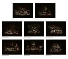 Natures Mortes by Michael Cook, 2021, suite of 8 inkjet prints on paper, offered Mar 2025