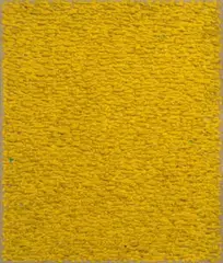 Gelb by Kuno Gonschior, 1995 - 96, oil and tempera on linen, sold May 2025