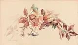 Branche de raisins by Louise Abbéma, Aquarelle, sold Mar 2024