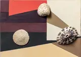 Composition aux coquillages by Rose Adler, Gouache et collage sur papier, sold Feb 2023