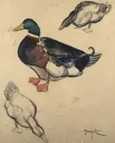 Etude de col vert by Georges Lucien Guyot, Aquarelle, sold May 2020