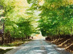 Maple Green by Ken Edison Danby, 1985, watercolour on paper, sold May 2024