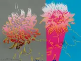Kiku (F.&S.II.308) by Andy Warhol, screenprint on Rives BFK paper, sold Apr 2024