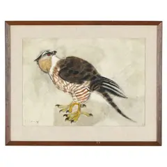 Study of a Hawk by Charles Culver, Watercolor and pastel on paper, sold Jan 2026