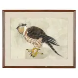 Study of a Hawk by Charles Culver, Watercolor and pastel on paper, sold Jan 2026