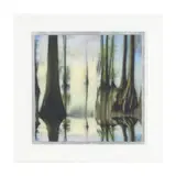 Cypress Grove with Horizon, Albemarle Sound by Dan Gottlieb, Mixed media photographic print in colors on acrylic, sold Jan 2026