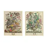 Pair of Botanical Engravings from Twelve Months of Flowers by Henry Fletcher, Hand-colored engraving, sold Dec 2025