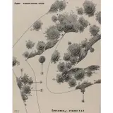 Anne : genoux gauche - pubis by Robert Malaval, 1966, Encre de Chine sur papier, sold May 2020