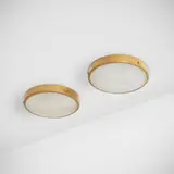 Ceiling lamps model 3001 / 30, pair by Gino Sarfatti, 1953, brass, enameled aluminum, frosted glass, sold Mar 2023