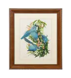 Untitled - Columbia Jay in a Fruit Tree by Moulton Lee Adams, gouache on paper, sold Oct 2025