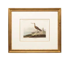 printed and colored by Robert Havell (English by John James Audubon, engraving with aquatint and etching on paper, sold Oct 2025