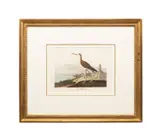 printed and colored by Robert Havell (English by John James Audubon, engraving with aquatint and etching on paper, sold Oct 2025