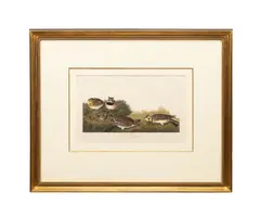 printed and colored by Robert Havell (English by John James Audubon, engraving with aquatint and etching on paper, sold Oct 2025