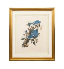 printed and colored by Robert Havell (English by John James Audubon, 2019, engraving with aquatint and etching on paper, sold Oct 2025