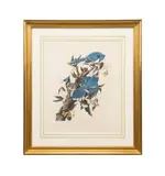 printed and colored by Robert Havell (English by John James Audubon, 2019, engraving with aquatint and etching on paper, sold Oct 2025