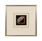 Hippopotamus by Rosie Clark, oil on scratchboard, sold Oct 2025