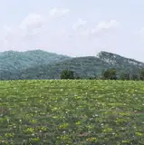 landscape painting "Bonticu by Thomas Sarrantonio, oil on panel, sold Sep 2023