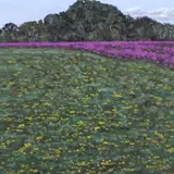 landscape painting "Suggestion by Thomas Sarrantonio, oil on panel, sold Sep 2023