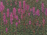 landscape painting "Chant by Thomas Sarrantonio, oil on panel, sold Sep 2023