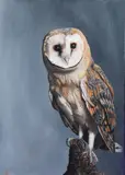 Ornithological study of a Barn Owl perched on stump by Bebe Livesey, oil, sold Apr 2023