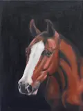 Horses head by Bebe Livesey, oil, sold Apr 2023