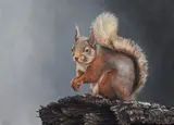 Animal study of a red squirrel sat on a stump by Bebe Livesey, oil, sold Apr 2023