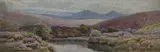 Watercolours by William Sydney Morrish, watercolor, offered Mar 2023