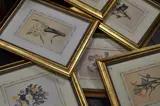 Six 20th century re-prints by Pierre-Joseph Redouté, print (other), offered Jan 2023