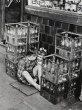 Untitled by Grace Robertson, Silver gelatin print, printed later, image size, offered May 2025