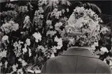 Untitled by Homer Sykes, Silver gelatin print, printed later, image size, offered May 2025