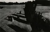 Untitled by Tony Ray-Jones, Silver gelatin print, printed, offered May 2025