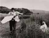 Untitled by Robert Doisneau, Silver gelatin print, printed, offered May 2025