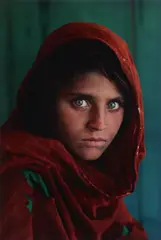 Untitled by Steve McCurry, C-type print, flush-mounted to aluminium, printed, offered May 2025