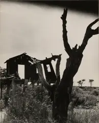 Untitled by Clarence John Laughlin, print, offered May 2025