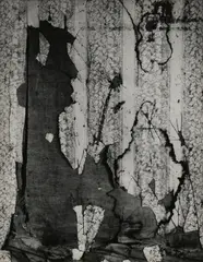 Untitled by Aaron Siskind, print, offered May 2025