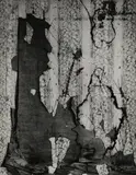 Untitled by Aaron Siskind, print, offered May 2025