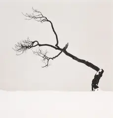 Untitled by Michael Kenna, 2007, Silver gelatin print, printed, offered May 2025