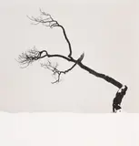 Untitled by Michael Kenna, 2007, Silver gelatin print, printed, offered May 2025