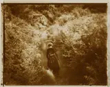 Untitled by Sarah Moon, print, offered May 2025