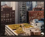 Untitled by Joel Sternfeld, Chromogenic print, flush-mounted, image size, offered May 2025
