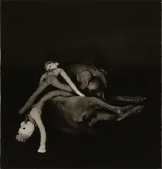 Untitled by William Wegman, Silver gelatin print from Wegman's, offered May 2025