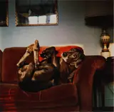 Untitled by William Wegman, print, offered May 2025